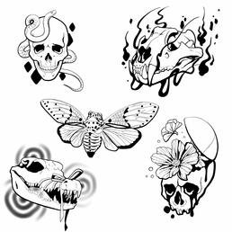 Flash Sheet 2024