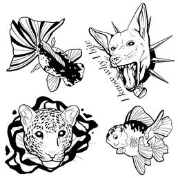 Flash Sheet 2024