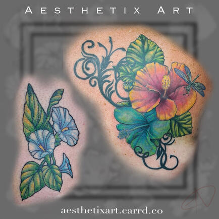 Hibiscus Color Coverup and Morning Glory